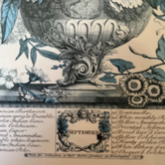 Vtg SEPTEMBER from Twelve Months of Flowers by Robert Furber (C.1674-1756)CANADA - Picture 4 of 15